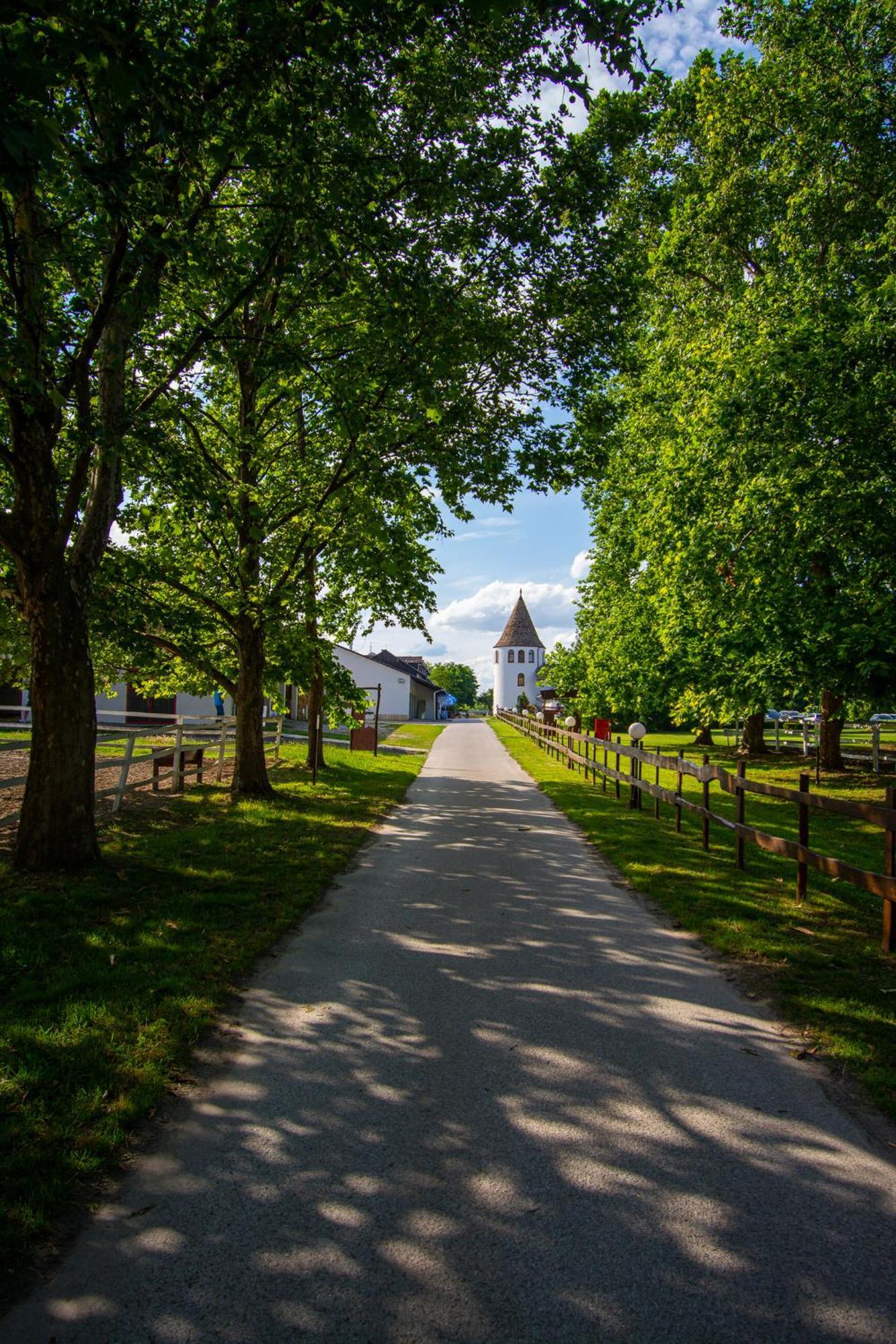 Hotel Villa Majur Subotica Dış mekan fotoğraf