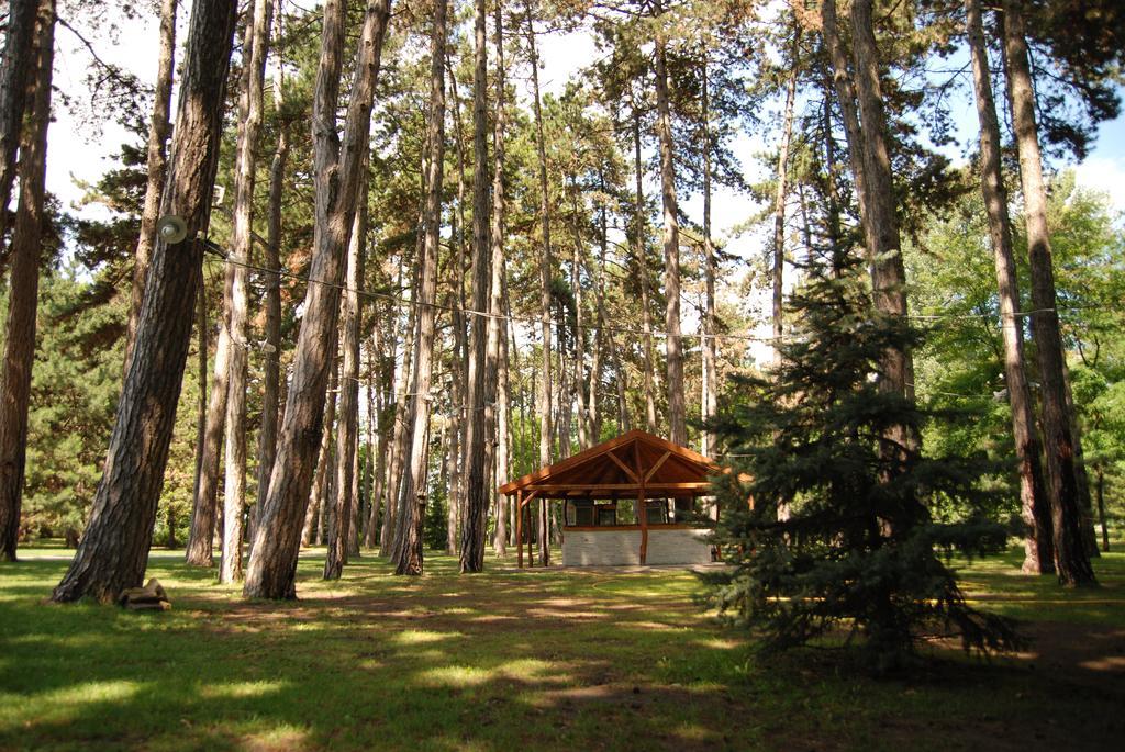 Hotel Villa Majur Subotica Dış mekan fotoğraf